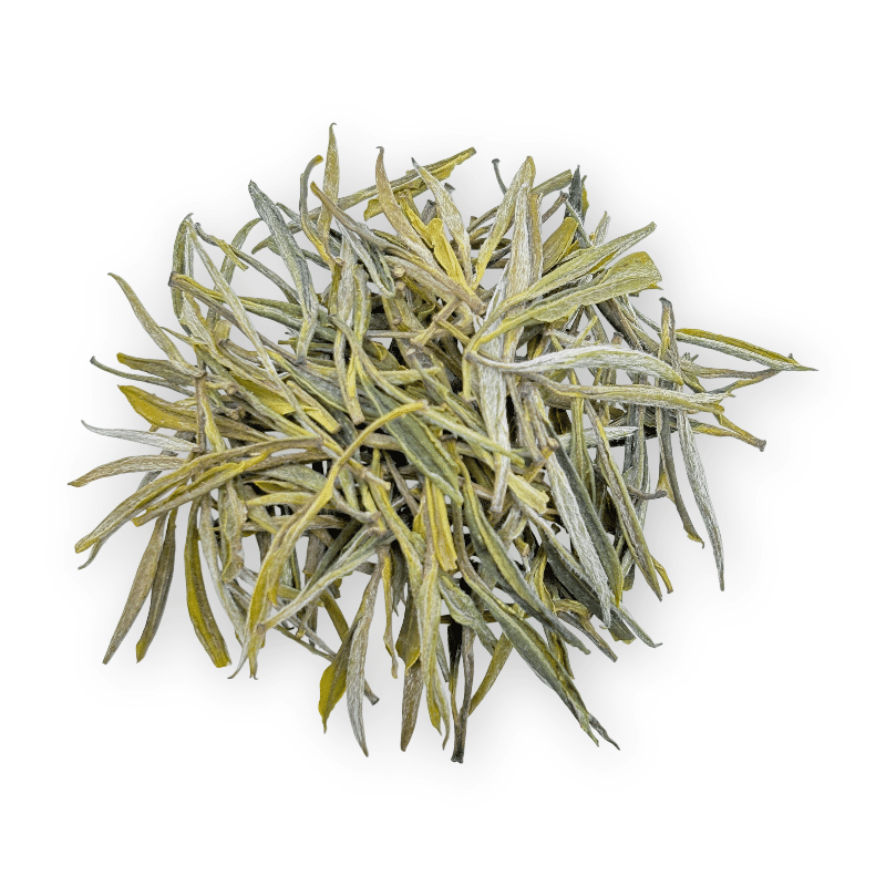 Huangshan Maofeng - HalloTea