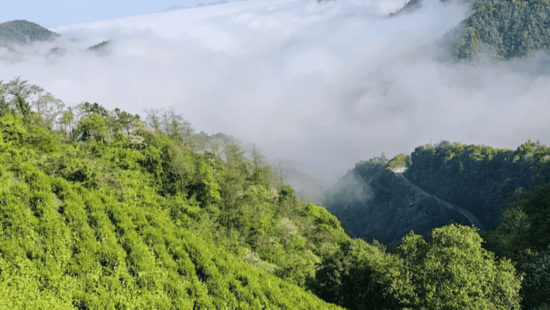 lu-an-gua-pian-origin