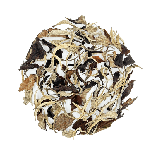 Moonlight - HalloTea