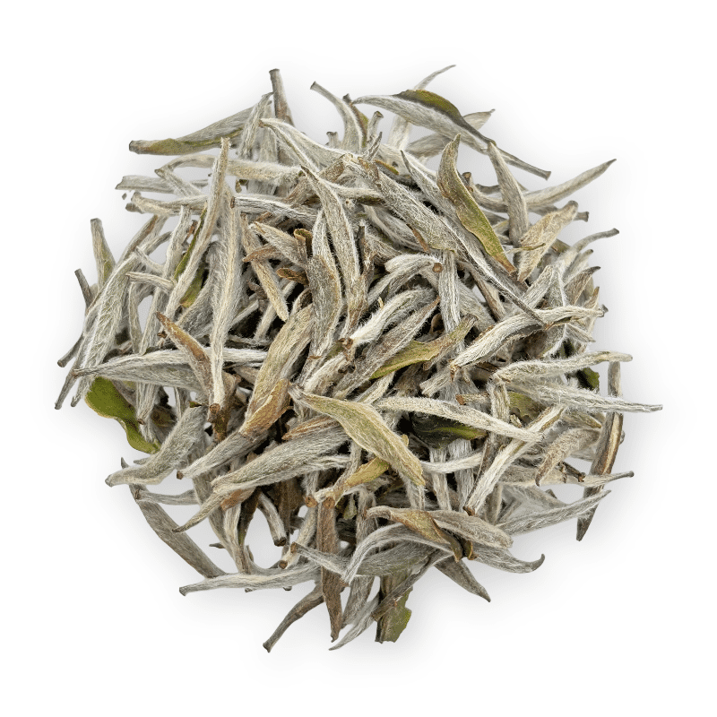Silver Needle - HalloTea