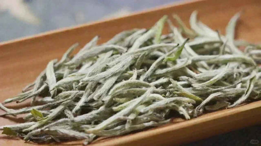 What is Silver Needle White Tea? - HalloTea