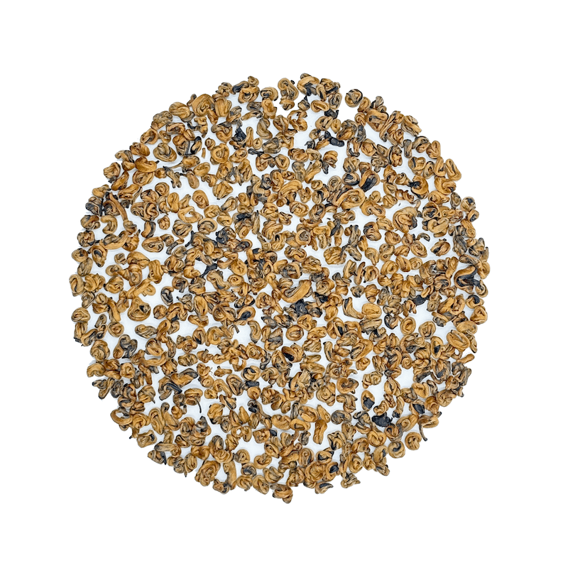 Yunnan Golden Snail - HalloTea