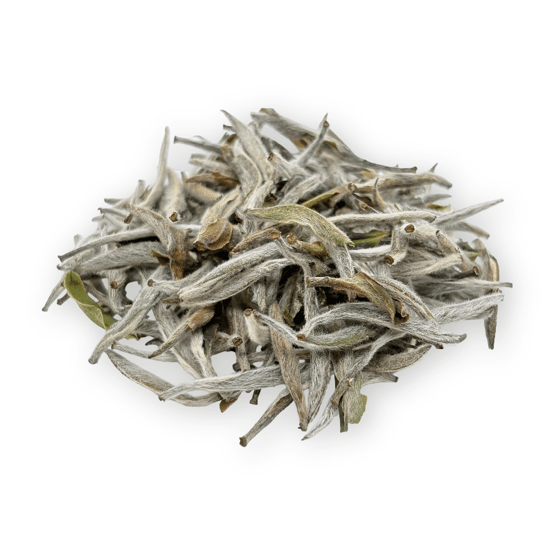 Silver Needle - HalloTea