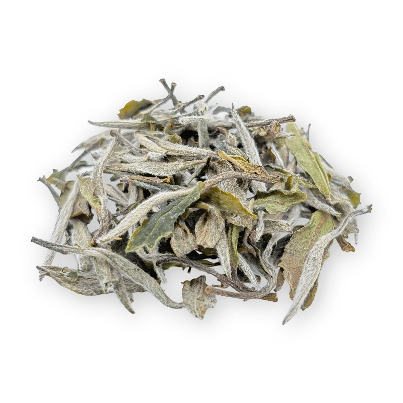 White Peony - HalloTea