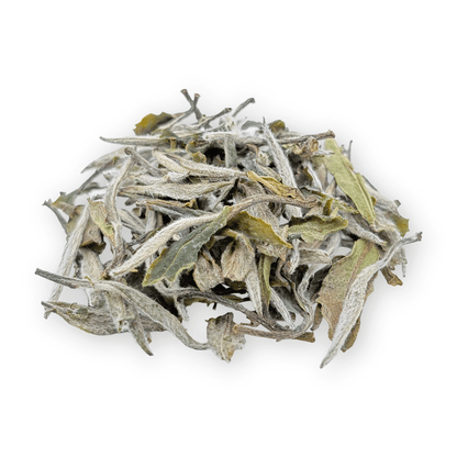 White Peony - HalloTea