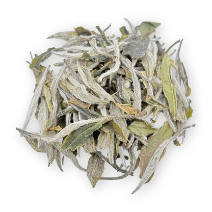 White Peony - HalloTea